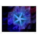 StarFish posters by girlofsnow StarFish posters