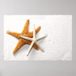 Starfish Poster posters