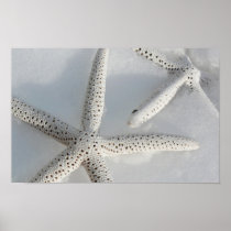 Starfish Print