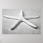 Starfish Poster