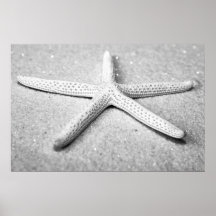 Starfish Poster