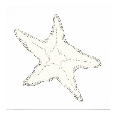 Starfish Posters & Prints by ginyhogan