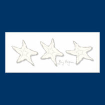 Starfish Posters & Prints