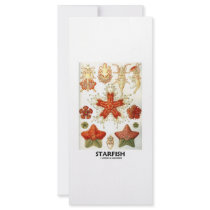 Starfish Rack Card Design
