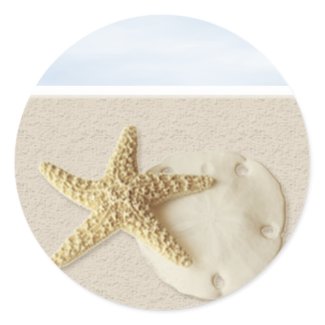 Starfish & Sand Dollar sticker