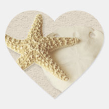 Starfish & Sand Dollar Sticker