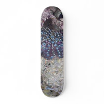 Starfish skateboards