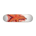 Starfish skateboards by Jilly280 Starfish skateboards