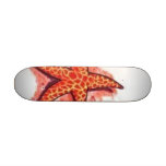 Starfish Custom Skate Board