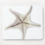 Starfish skeleton, close-up mouse pad