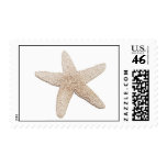 Starfish Stamp