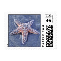 Starfish Stamp