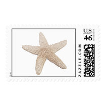 Starfish Stamp by ArtAccompli Starfish Stamp
