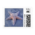 Starfish Stamp