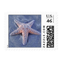 Starfish Stamp