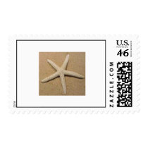 Starfish Stamp by Reshaun Starfish Stamp