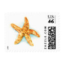 starfish stamps