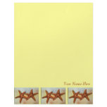 starfish stationary personalized letterhead