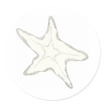 Starfish Sticker