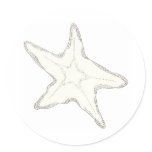 Starfish Sticker