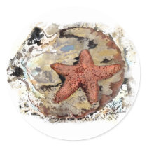 Starfish Sticker