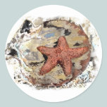 Starfish Sticker