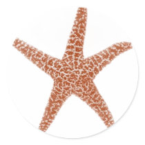 Starfish Sticker by monicamarieadams Starfish Sticker