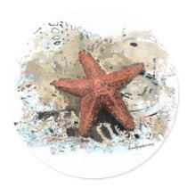 Starfish stickers by carrollgraphix Starfish stickers