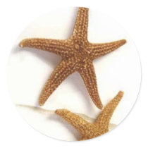 Starfish stickers by asktoto Starfish stickers