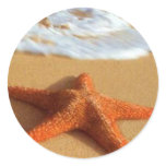 Starfish Stickers