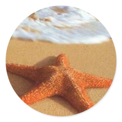 Starfish Stickers by screwballgraphics