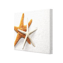 Starfish Stretched Canvas Print