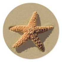 Starfish Tropical Event And Wedding Envelope Seal stickers by TDSwhite Starfish Tropical Event And Wedding Envelope Seal stickers