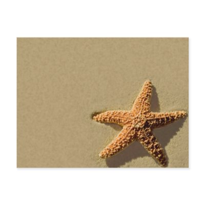 Starfish Tropical Event And Wedding Invitation Postcard
