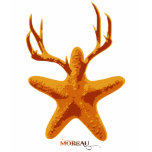 Starfish t-shirts