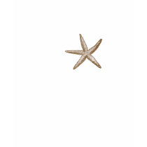starfish t-shirts