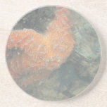 Starfish underwater coasters