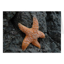 Starfish, West Marin tide pools cards by Unidosonline Starfish, West Marin tide pools cards