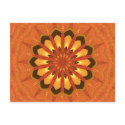 Starflower postcards
