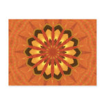 Starflower Postcards