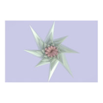 Starflower posters