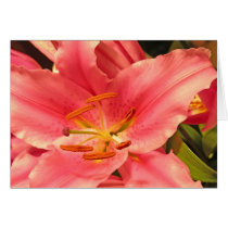 Stargazer cards by mlane53 Stargazer cards