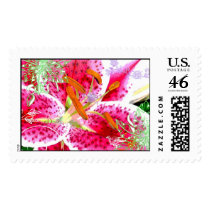 Stargazer Fantasy Stamp