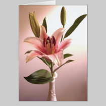 Stargazer Greeting Card cards