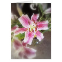 stargazer lilies #11 greeting card