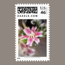 stargazer lilies #11 postage