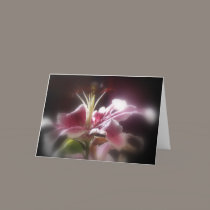 stargazer lilies #12 cards