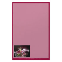 stargazer lilies #12 stationery