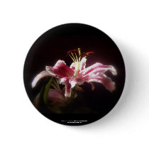 stargazer lilies #15 pin