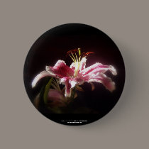 stargazer lilies #15 buttons